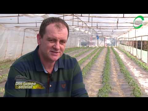 Rezultatele programului Tomata în comuna Balta Doamnei - Prahova