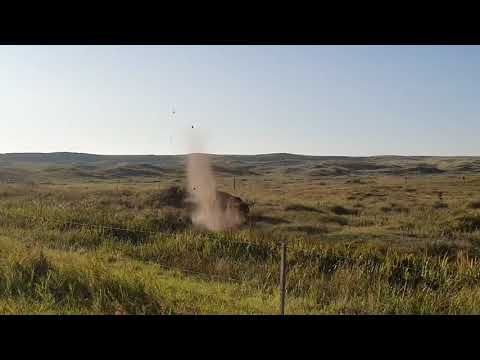 Schotse Hooglander laat zich gelden