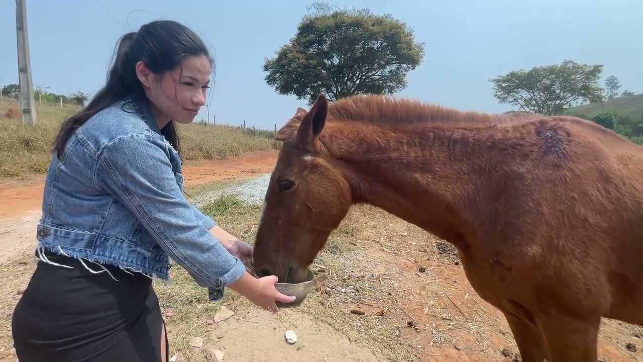 LEVAMOS RAÇÃO PARA OS ANIMAIS DO ZEZÉ