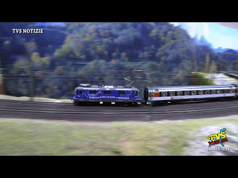 CARNATE - TRENINI IN MOSTRA 2023