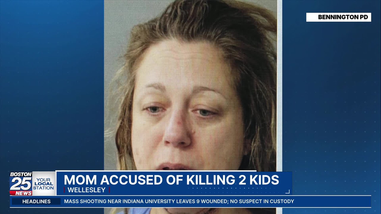 ‘Full of life and laughter’: Wellesley mom accused in children’s deaths was in custody battle