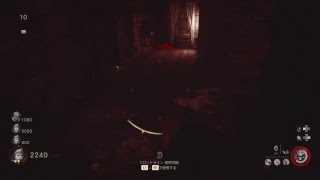 CoDｿﾞﾝﾋﾞやるゾォォオオ！！