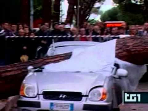 arco felice Pozzuoli, cade un pino muore schiacciato