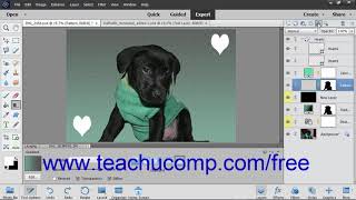 Photoshop Elements 2019 Tutorial Locking Pixels in Layers Adobe Training