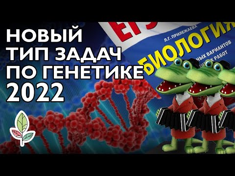 Новые задачи ЕГЭ 2022: Y-сцепление и псевдоаутосомные регионы
