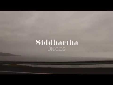 Siddhartha - Únicos (Letra)
