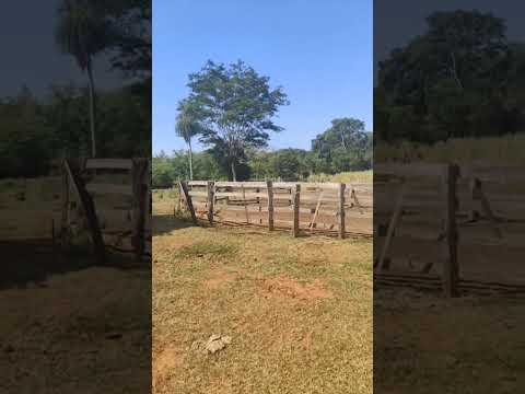 Campos de PARAGUAY #horqueta