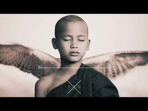 TH Moy - Meda (Tribal Mix)