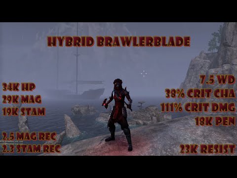 ESO Hybrid BrawlerBlade PvP Gameplay & Build Lost Depths