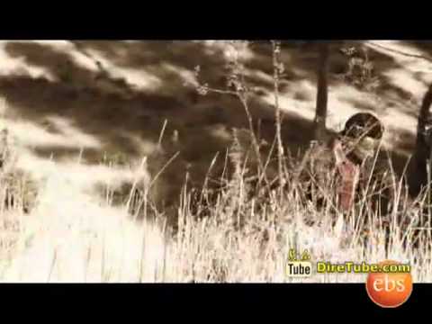 Dawit Tsege   Gelawa