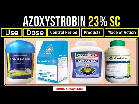 Austodia Azoxystrobin 23% SC Fungicide