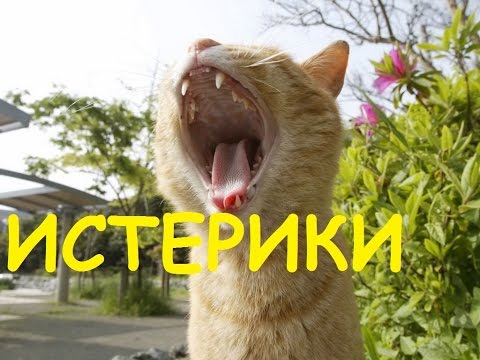 Детские истерики