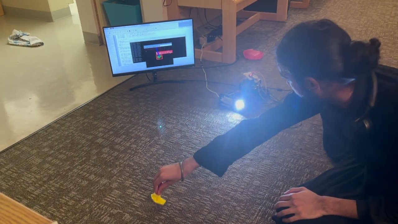 AI-Tracked PTZ Camera System thumbnail