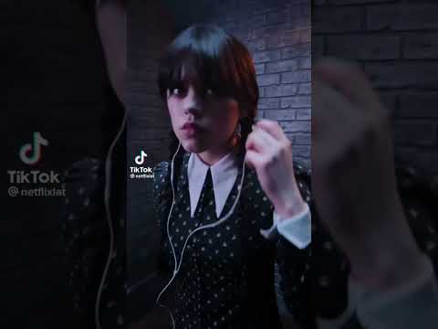 Una gatita que le gusta el mambo