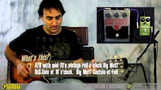 Maxon D&S Distortion and Sustainer - What To Know & Where To Buy