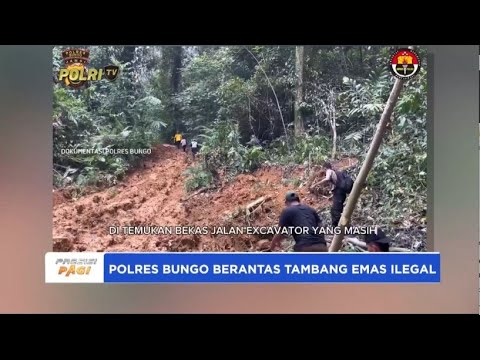 POLRES BUNGO BERANTAS TAMBANG EMAS ILEGAL