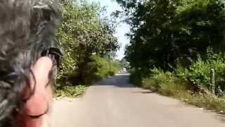 Goa / Vagator to Chapora  (1)