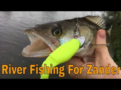 River fishing for Zander.