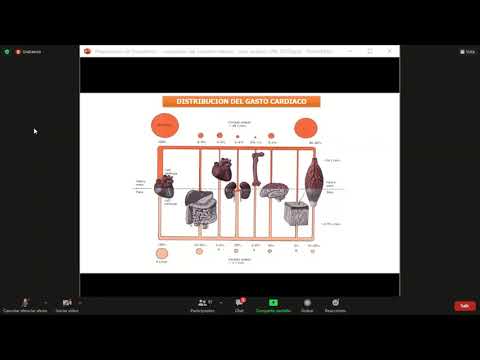 Clase de repaso de TyTL: Ciclo cardiaco