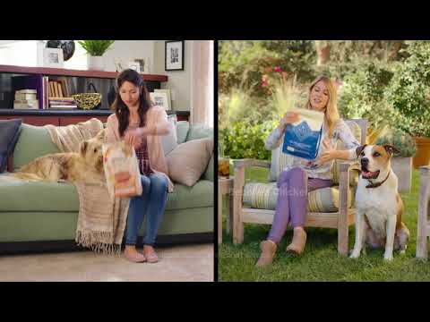 Blue Buffalo vs. Beneful Dog Food