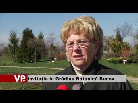 Invitație la Grădina Botanică Bucov