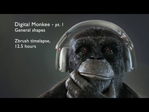 Digital Monkee -  Timelapse Part 1