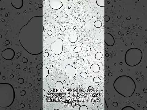 最古の生物?証拠は年齢が約8億9千万年であることを示している
