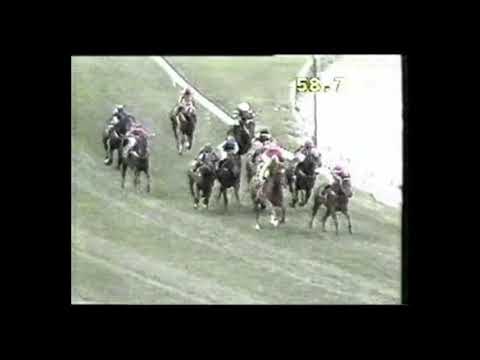 1991 William Reid Stakes - Redelva