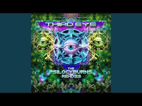 No Mames! (Psilocyburns Remix)