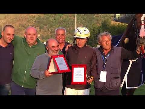 Toseland Kyu, freccia ad Agnano (24/09/2017).