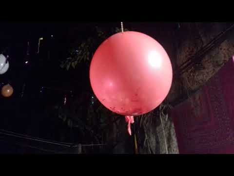 Happy birthday 🎂sulagna adhikary 31 night