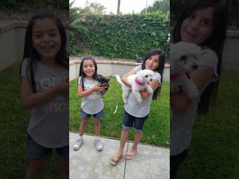 Happy Birthday Tia Elvia!