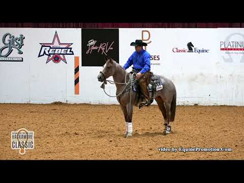 Metallic Boon ridden by Mark A. Sigler  - 2018 Snaffle Bit Futurity (Open Hackamore Classic)