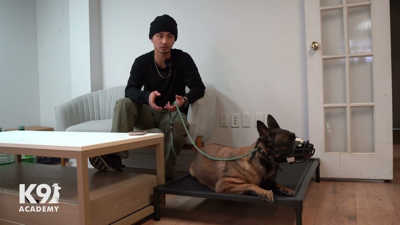 Zero Recall → Off-Leash