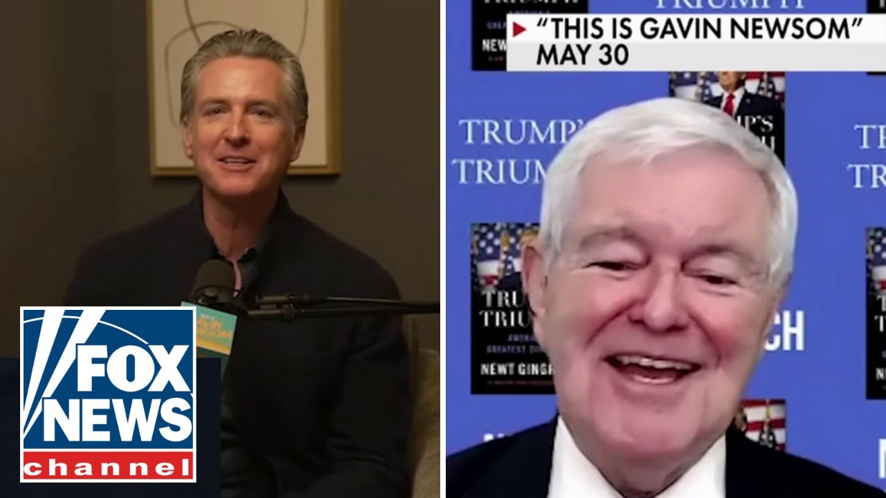 Newt Gingrich mocks Dems' latest Trump insult: 'This is just nuts'