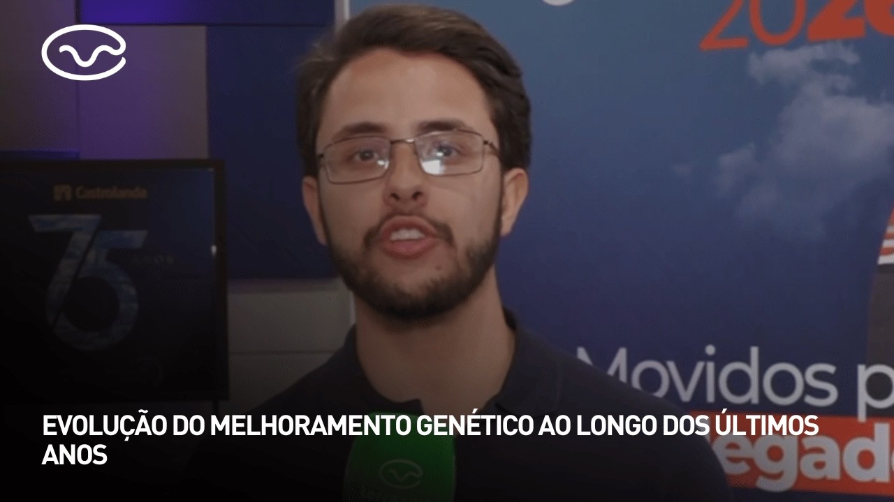Evolução do melhoramento genético ao longo dos últimos anos