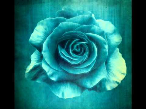 Un Idioma Nunca Es Suficiente - Sam Bowman