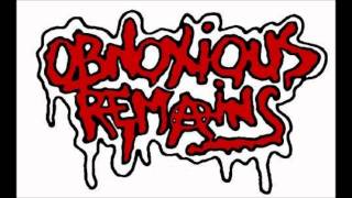 Obnoxious Remains - Rock N` Roll Highway