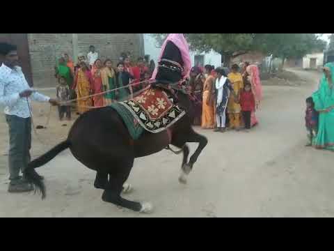 Karan yadav dhanera ghoda dance