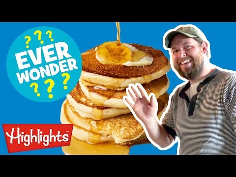 Ever Wonder How Maple Syrup Is Made? | Highlights Kids