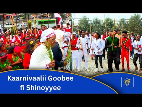 Kaarnivaalii Goobee fi Shinoyyee