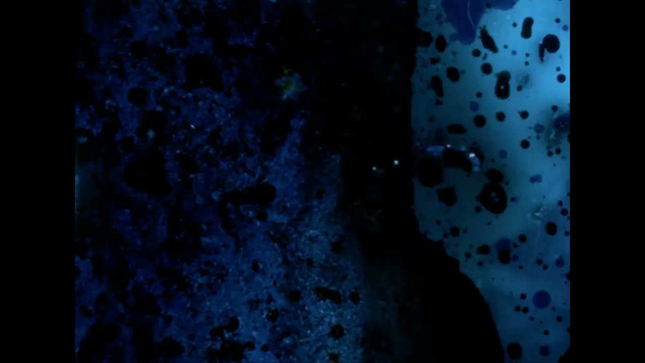 Nebbia/Lisle/Downes Trio (teaser 1) Live @ Donau115