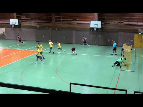 HSG Albstadt - HSG Friedrichshafen Fischbach 35:23