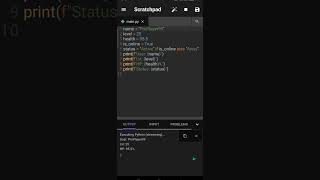 Python Profile Creator on Mobile 📱⚡