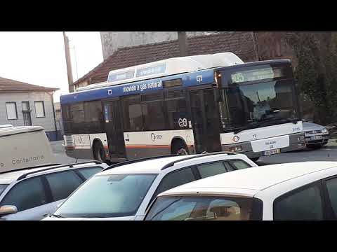 STCP linha 805 veiculo 3115