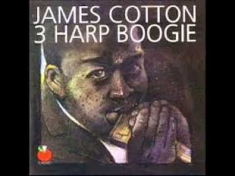 3 HARP BOOGIE James Cotton,Paul Butterfield,Billy Boy Arnold