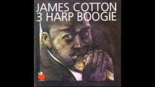 3 HARP BOOGIE James Cotton,Paul Butterfield,Billy Boy Arnold