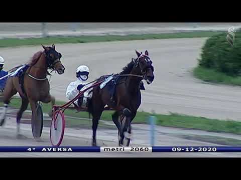 Aversa trotto 9 Dicembre 2020 - 4° Corsa