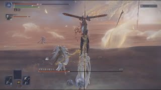 【役立たずのナイトレイン】#9 安寧者たち【ハルモニア】※各ボス戦闘ダイジェスト ヘタクソすぎてお荷物すぎるド素人マルチプレイ