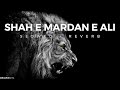Shah e Mardan e Ali Slowed + Reverb - Soulful Jams